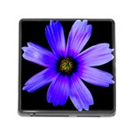 Purple Bloom Memory Card Reader with Storage (Square)