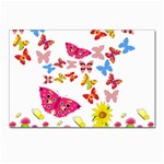 Butterfly Beauty Postcards 5  x 7  (10 Pack)