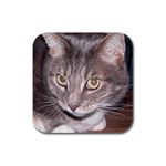 Cat vinni-van Rubber Square Coaster (4 pack)