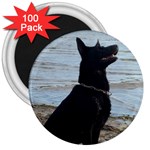 Black German Shepherd 3  Button Magnet (100 pack)