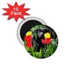 Black GSD Pup 1.75  Button Magnet (10 pack)