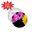 gerbera flowers photo 1.75  Button (100 pack) 