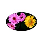 gerbera flowers photo Sticker (Oval)