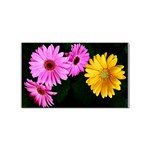gerbera flowers photo Sticker (Rectangular)