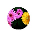 gerbera flowers photo Magnet 3  (Round)
