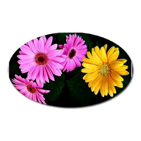 gerbera flowers photo Magnet (Oval) from ZippyPress Front