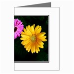 gerbera flowers photo Greeting Card