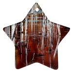 Automn Swamp Star Ornament (Two Sides)