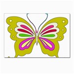 Color Butterfly  Postcard 4 x 6  (10 Pack)