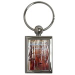 Swamp2 Filtered Key Chain (Rectangle)
