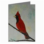 Sweet Red Cardinal Greeting Card (8 Pack)