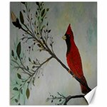 Sweet Red Cardinal Canvas 8  x 10  (Unframed)