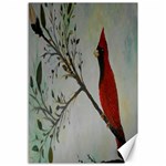 Sweet Red Cardinal Canvas 12  x 18  (Unframed)