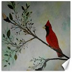 Sweet Red Cardinal Canvas 20  x 20  (Unframed)