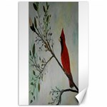 Sweet Red Cardinal Canvas 24  x 36  (Unframed)
