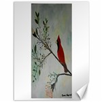 Sweet Red Cardinal Canvas 36  x 48  (Unframed)
