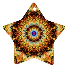 Ochre Burnt Glass Star Ornament (Two Sides) from ZippyPress Back