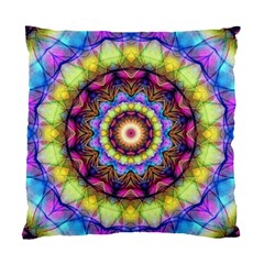 Rainbow Glass Cushion Case (Two Sided)  from ZippyPress Back