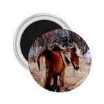 Pretty Pony 2.25  Button Magnet