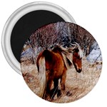 Pretty Pony 3  Button Magnet