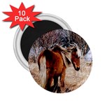 Pretty Pony 2.25  Button Magnet (10 pack)