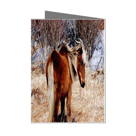 Pretty Pony Mini Greeting Card (8 Pack) from ZippyPress Left