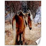 Pretty Pony Canvas 16  x 20  (Unframed)