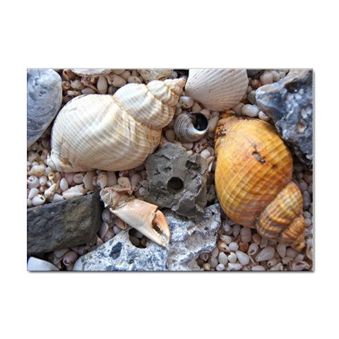 Beach Treasures A4 Sticker 10 Pack from ZippyPress Front