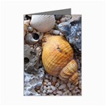 Beach Treasures Mini Greeting Card (8 Pack)
