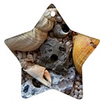 Beach Treasures Star Ornament (Two Sides)