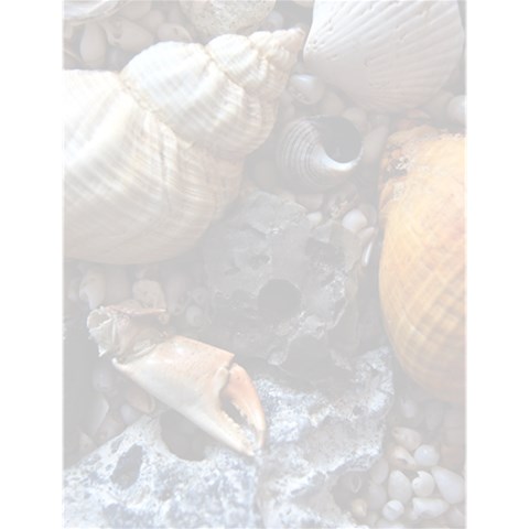 Beach Treasures Large Memo Pad from ZippyPress 4.125 x5.5  Memopad
