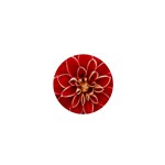 Red Dahila 1  Mini Button