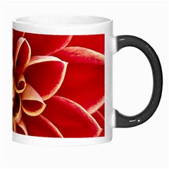 Red Dahila Morph Mug from ZippyPress Right