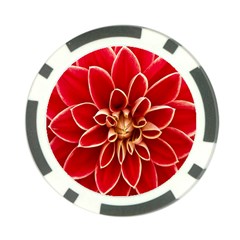 Red Dahila Poker Chip (10 Pack) from ZippyPress Back