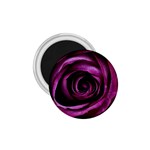 Deep Purple Rose 1.75  Button Magnet