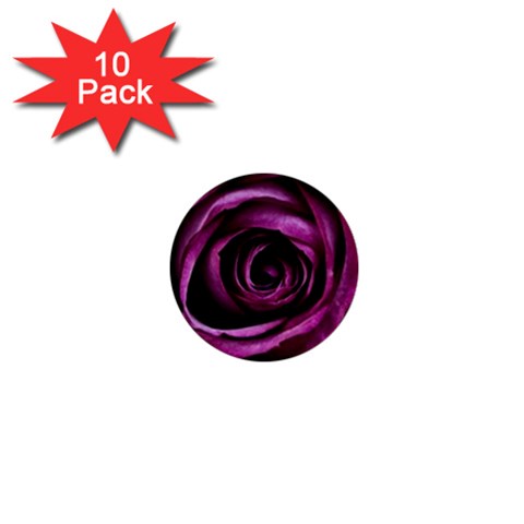Deep Purple Rose 1  Mini Button (10 pack) from ZippyPress Front
