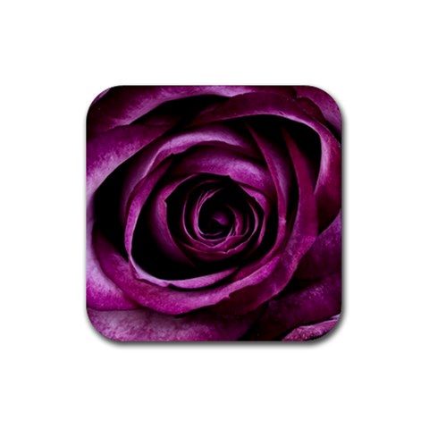 Deep Purple Rose Drink Coaster (Square) from ZippyPress Front
