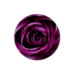 Deep Purple Rose Drink Coasters 4 Pack (Round)