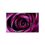 Deep Purple Rose Sticker (Rectangle)