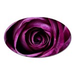 Deep Purple Rose Magnet (Oval)
