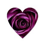 Deep Purple Rose Magnet (Heart)
