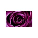 Deep Purple Rose Magnet (Name Card)