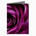 Deep Purple Rose Greeting Card (8 Pack)