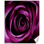 Deep Purple Rose Canvas 16  x 20  (Unframed)