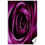 Deep Purple Rose Canvas 24  x 36  (Unframed)