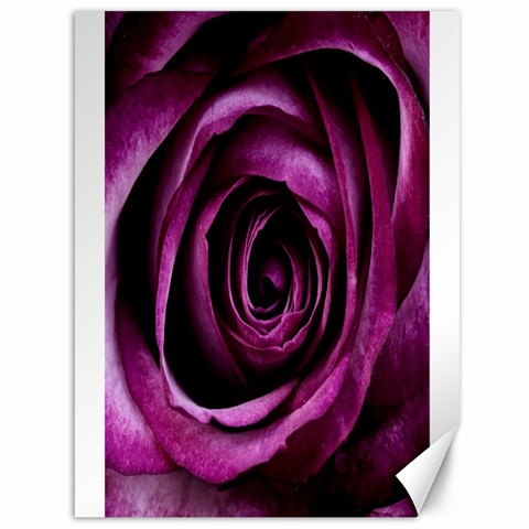 Deep Purple Rose Canvas 36  x 48  (Unframed) from ZippyPress 35.26 x46.15  Canvas - 1