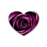 Deep Purple Rose Drink Coasters 4 Pack (Heart) 