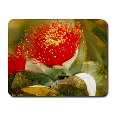Gum nut flower Small Mousepad from ZippyPress Front