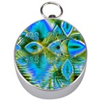 Mystical Spring, Abstract Crystal Renewal Silver Compass