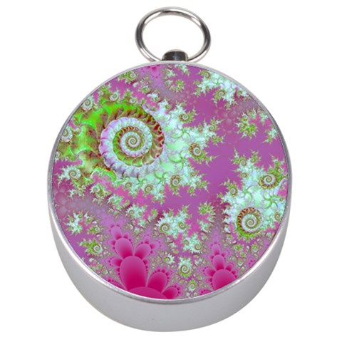 Raspberry Lime Surprise, Abstract Sea Garden  Silver Compass from ZippyPress Front